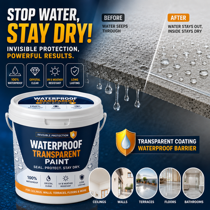 Transparent Coating Paint